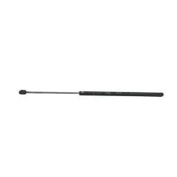 Amortecedor Tampa Traseira Renault Scenic 1999 2011
