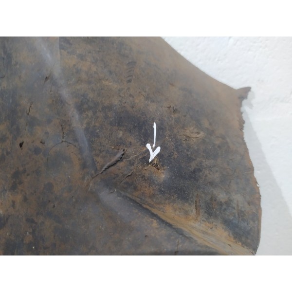 Para Barro Frente Dianteiro Direito Peugeot 206 Sw 2007