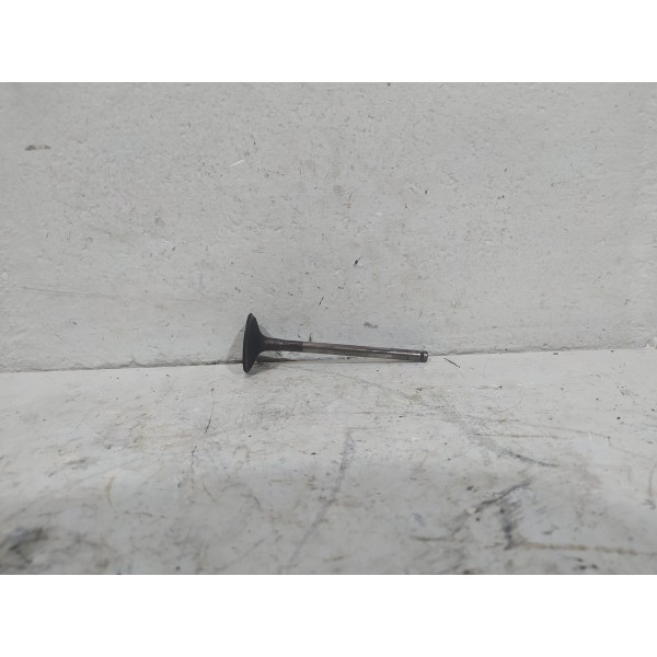 Valvula Admissão Peugeot 206 1.4 8v 2007